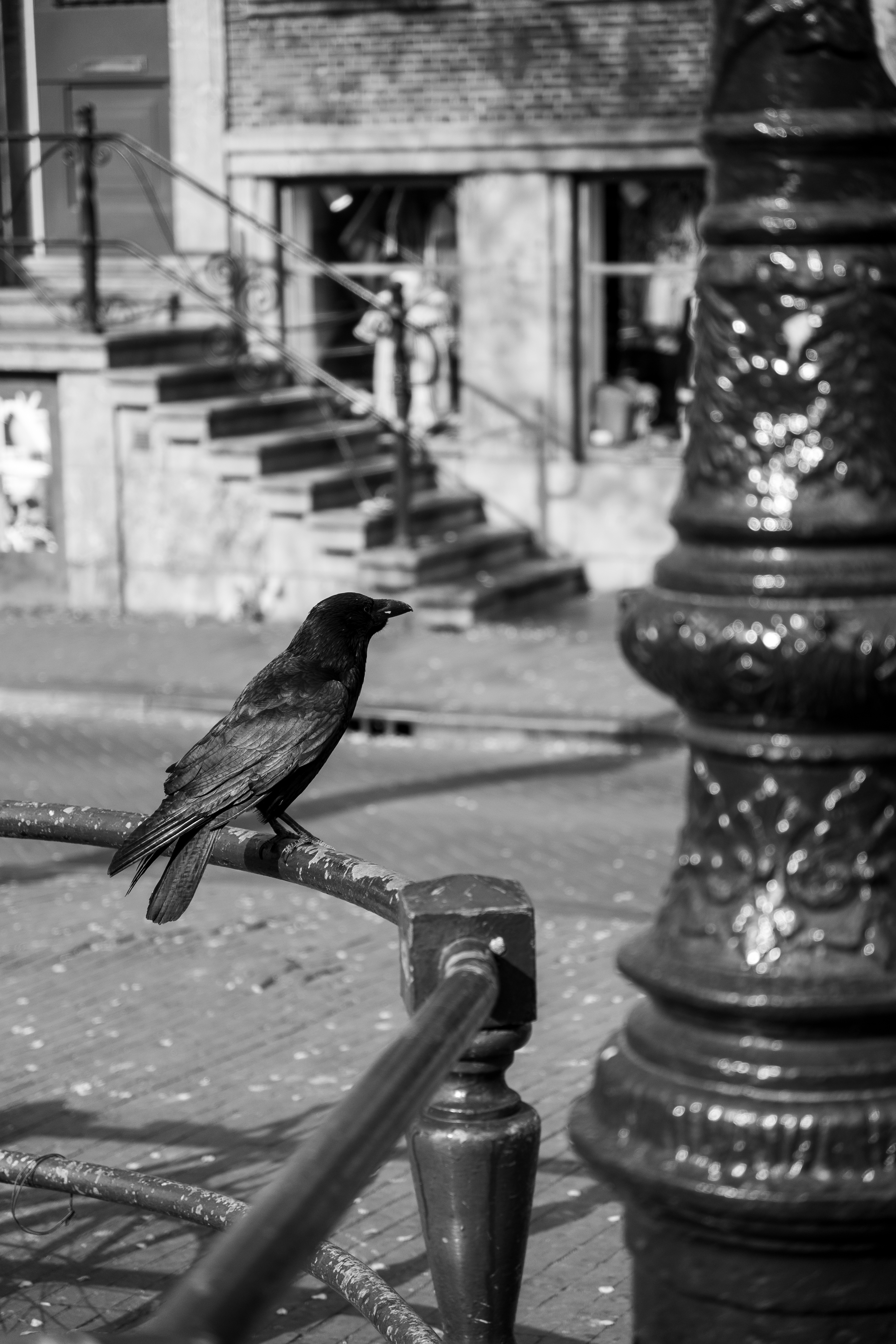 Streets photograph 6